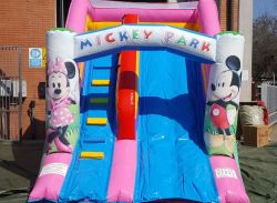 Scivolo Mickey Park
