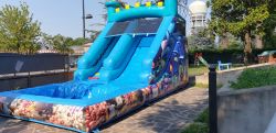 Gonfiabile Acqua Slide