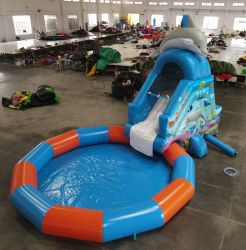 GONFIABILE ACQUA DELFINO CON PISCINA 